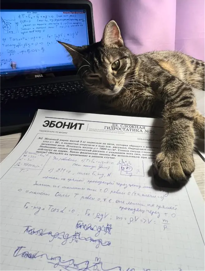 Подготовка к ОГЭ/ЕГЭ в 100балльном